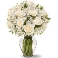White silk (Curated)